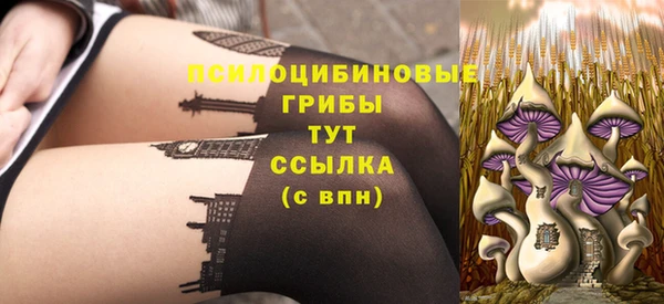 кокс Алексин